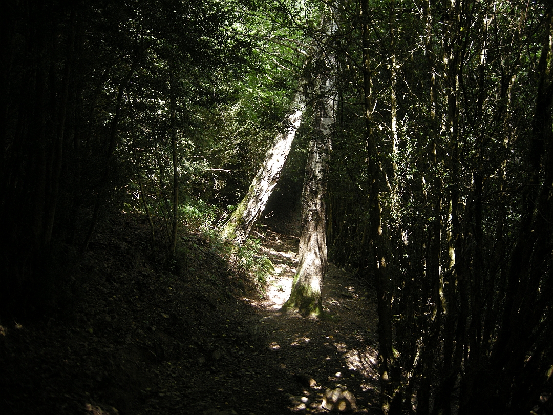 Pirineos_2021 087